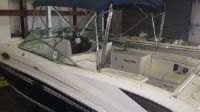 Sea Ray 290 Sundeck