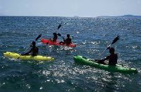 Pms Single Seated Kayak