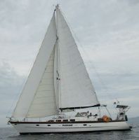 Maple Leaf 54