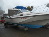 Boston Whaler 250 Revenge