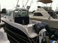 Striper 2901 Walk Around O/B (Dual Engine)