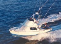 Bertram 31 Moppie Fb Showroom Condition