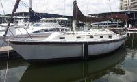 Irwin 34