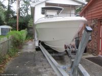 Wellcraft Scarab 302