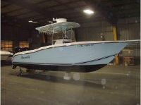 Triton 2895 Cc W/ Custom Hard Top