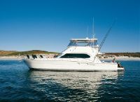 Riviera Open Flybridge With Ips