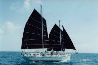 Colvin Junk Rig Gazelle