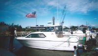 Bayliner Ciera 2452 Express Special Edition 293 Hours