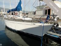 Cheoy Lee Pedrick 41