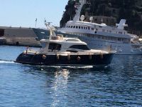 Mochi Craft 74 Dolphin