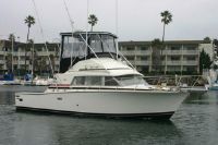 Bertram 33 Sport Fisherman