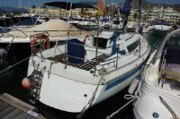 Gib Sea 31