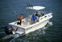 Grady-White Seafarer 226