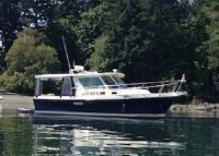 Albin Customized Tournament Express