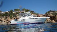 Rampage Yachts Usa Rampage 30 Express