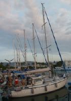 Mascot Boats Mascot 33