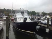 Island Gypsy. Halvorsen 44