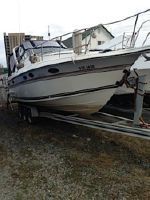 Doral 300 Prestancia