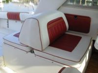 Sea Ray 310 Flybridge Sportfisherman