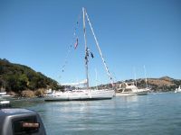 Catalina 400