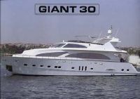 Giant 2006