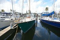 Kelly Peterson 44 Cc