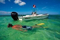 Mako Pro 16 Skiff Cc W/ 40 Elpt 4Stroke And Custom Trai