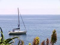 Dufour 385