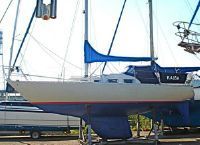 Shipman 28