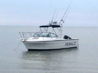 Robalo 2160 Cuddy Cabin