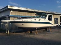 Sea Ray 290 Sundancer-10565