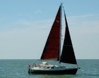 Midget 31