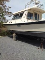 Albin 35 Tournament Express