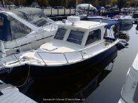 Shamrock 260 Mackinaw