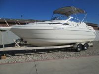 Wellcraft Excel 26Se