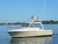 27 Phoenix Fishbuster