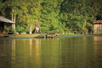 Tracker Grizzly 1754 Sc W/ 40 Elpt Fourstroke Efi And Trai