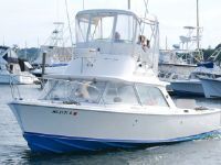 Bertram 31 Fly Bridge