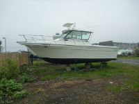 Baha Cruisers 278 Fisherman Inboard