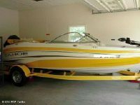 Tahoe Q4 Fish And Ski