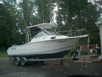 Sea Pro 238 Walk Around