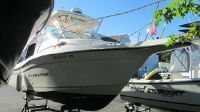 Sea Swirl Striper 2301