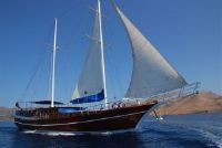 24 M 1999-2010 Mrm-Kertch