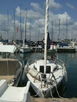 Artenko Clasico De Vela