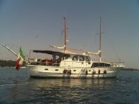 Allemansgest Super Van Craft