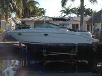 Sea Ray Amberjack 290