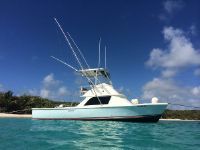 Bertram W/ Yanmar Diesels