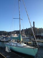 Farr 44