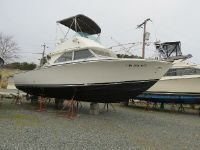 Bertram Flybridge Sport Fisherman
