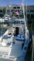 Bertram 31 Bahia Mar Sportfisher